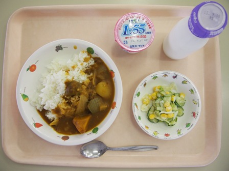 夏野菜カレー
