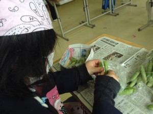 はるかさん