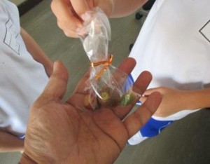 小さな秋の贈り物