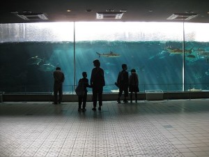 IMG_4538